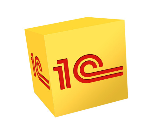 1С-Отчетность на 1 юр.лицо на 1 год